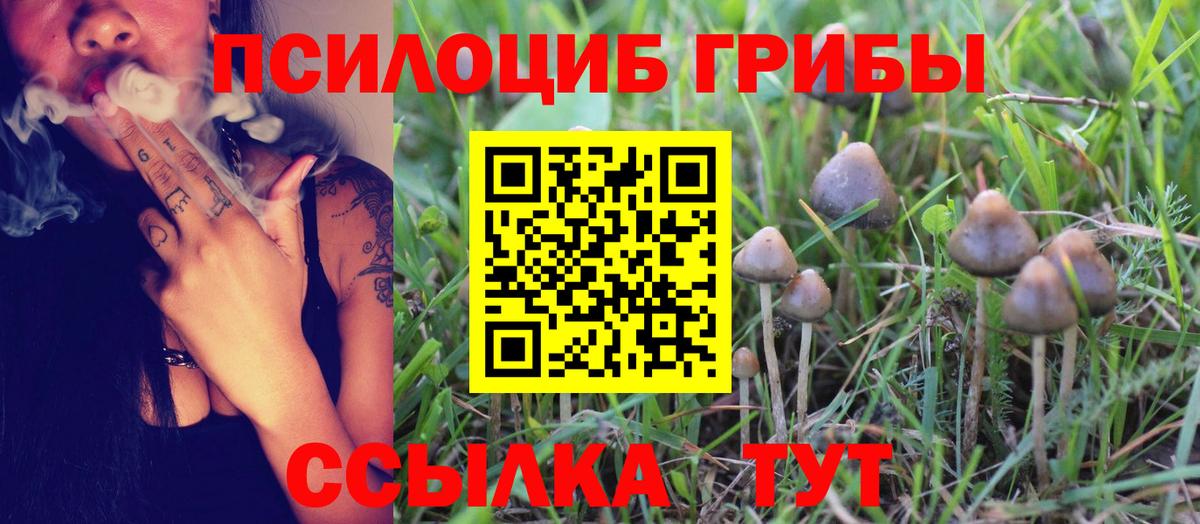 Кунгур  Псилоцибиновые грибы прущие грибы  Псилоцибиновые грибы Cubensis  закладка  Вход с VPN 